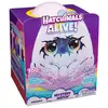 Spin Master Poupée Draggle Hachimals Alive - Eclosion Secrète Hatchimals - La Boite