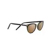 Lunettes de soleil Serengeti 8846 Elyna 54