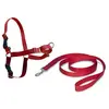 PetSafe Harnais pour chien - EASYWALK - Easy Walk® S - Rouge - Confortable et facile à utiliser