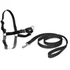 Petsafe - Harnais Easy Walk Modele Intermediaire Couleur Noir.