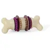 PetSafe Bristle Bone Jouet Os Nettoyant et Friandise