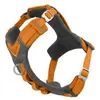 Harnais pour chien Kurgo Journey Air Orange XL CY0402