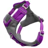 Harnais pour chien Kurgo Journey Air Violet L CY0397