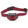PETSAFE Collier Supp. Chiens Têtus Pour Clôture Stay & Play Pour¿