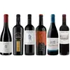 Caisse de dégustation Rioja Premium 4.5 l