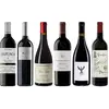Coffret Dégustation Premium Assyrtiko Santorini 4.5 l