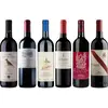 Caisse de dégustation Super Tuscan 4.5 l