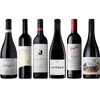 Caisse de dégustation Premium Shiraz d'Australie 4.5 l