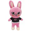 Non communiqué Peluche Leeknow Hyunjin cochon 21 cm