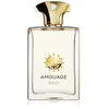 Amouage Gold Man Eau de Parfum 100ml pour homme