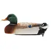 Bateau radio commandé Flytec V201 RC Boat 2.4Ghz Chasse Motion Boat 2 ...