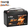 36V 50Ah tm LiFePO4 Batterie au lithium Bluetooth à basse température ...