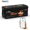 Batterie Lithium LiFePO4 Bluetooth 24V100Ah Protection à basse Tempéra...