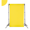 BD Fond papier Daf-Fo-Dil 2.72 x 11m - BD107A1