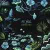 Wonderwheel Recordings Cenotes