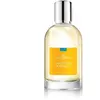 Immortel Cédrat - Eau de Toilette-100ml COMPTOIR SUD PACIFIQUE