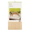 CRICUT Tilleul 12" × 6", Dimensions 30,5 cm × 15,2 cm.