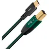 Câble USB Type C Audioquest Forest 1.5 m Noir