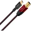 Audioquest Cinnamon USB B vers Type C - Câble USB B vers C de 0,75 m