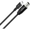 Audioquest Carbon USB B vers Type C - Câble USB-B vers USB-C de 0,75 m