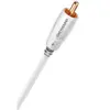 AudioQuest Greyhound Câble RCA pour caisson de basses en PVC Blanc/Gris 2,00 m