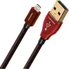 Audioquest Cinnamon USB A vers Lightning - Câble USB A vers Lightning de 1,5 m
