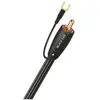 Câbles caisson de basses Audioquest Black Lab (2 m)