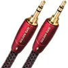 Câbles jack/mini-jack Audioquest Golden Gate mini-jack Mâle/Mâle (3 m)
