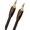 Câbles jack/mini-jack Audioquest Big Sur mini-jack Mâle/Mâle (5 m)