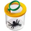 Safari Ltd Comment Les Insectes Voient ! Figure