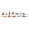 Jouet SAFARI Tubo Galapagos Figurines réalistes Enfant 3 ans et plus