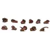 Safari jeu de rôles Crânes de dinosaures Toob junior brun 11 pièces
