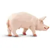 Safari Figurine Sanglier | Modèle réaliste 4.25" | Non Toxique et sans BPA | Convient aux Enfants de 3 Ans et Plus Ltd