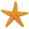 Safari figure Etoile de mer junior 10,5 cm orange