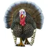 Plastoy - 2429-29 - Figurine - Animal - Dindon