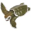 Non communiqué Safari jouer l'animal tortue warana garçon 12,5 cm vert/blanc