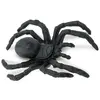 Safari Ltd Mini Figurine Araignées Porte-bonheur
