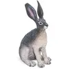 Safari Ltd Lièvre du désert 7.6cm | Jouets Animaux | Non-Toxique et sans BPA | Convient aux Enfants de 3 Ans et Plus
