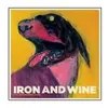 Subpop Iron and Wine - The Shepherd's Dog (LP)