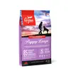 Croquettes Puppy Large pour Chiot - Orijen - 11,4Kg