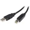 StarTech.com Câble USB 2.0 A vers B de 2 m - STARTECH - USB2HAB2M - Noir - Garantie à vie