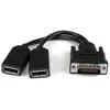Startech.com Câble adaptateur DMS-59 (LFH) vers 2x DisplayPort - STARTECH - 20cm - Noir