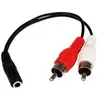 StarTech.com Câble audio stéréo Jack 3.5 mm vers 2 x RCA - F/M - 15 cm
