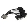 StarTech.com Cable Repartiteur 1 VHDCI vers 4 DVI-D - M / F