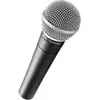 Microphone Chant - SHURE SM58