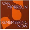 Exile Remembering Now Vinyle Orange Van Morrison (Interprète) Vinyle album