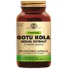 Solgar Extrait Aérien Spf Gotu Kola 100 Vcaps