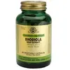 Solgar SFP Rhodiola 60 gélules végétales