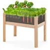 COSTWAY Jardinière Surélevée en Bois sur Pieds 50 l, Lit de Jardin avec Trous de Drainage Panneaux Acryliques Transparent Hauteur Adaptée, pour Légumes