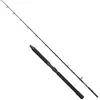 Penn Canne Baitcasting Conflict Deep Drop